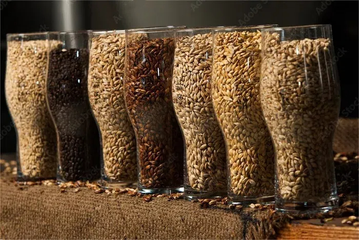 精釀啤酒原料-山東天泰<a href=http://www.zgvsh.cn/ target=_blank class=infotextkey>啤酒設備</a>